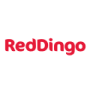 Red Dingo Köpek Tasması